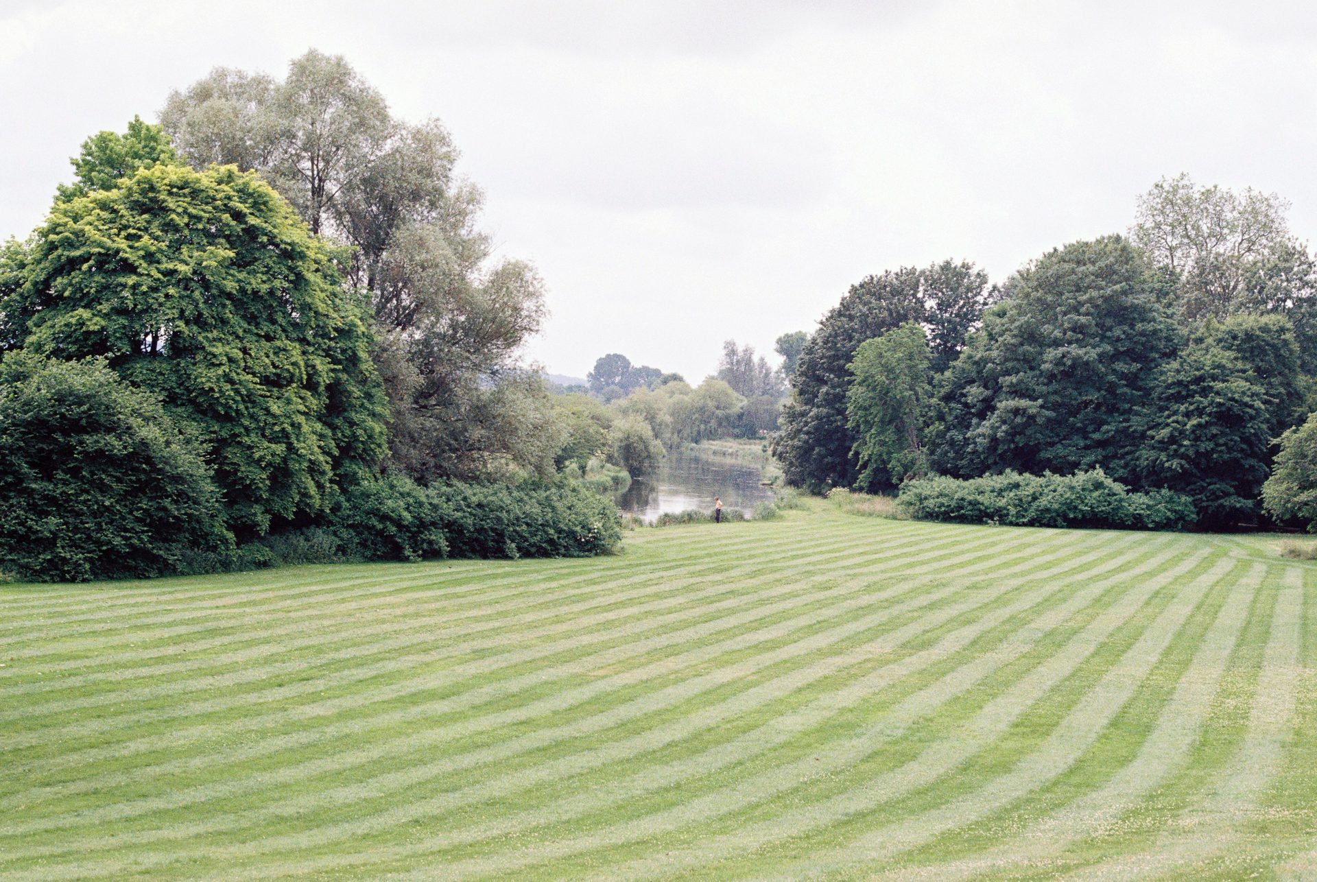 Wide freshly mown striped lawn bordered by mature trees